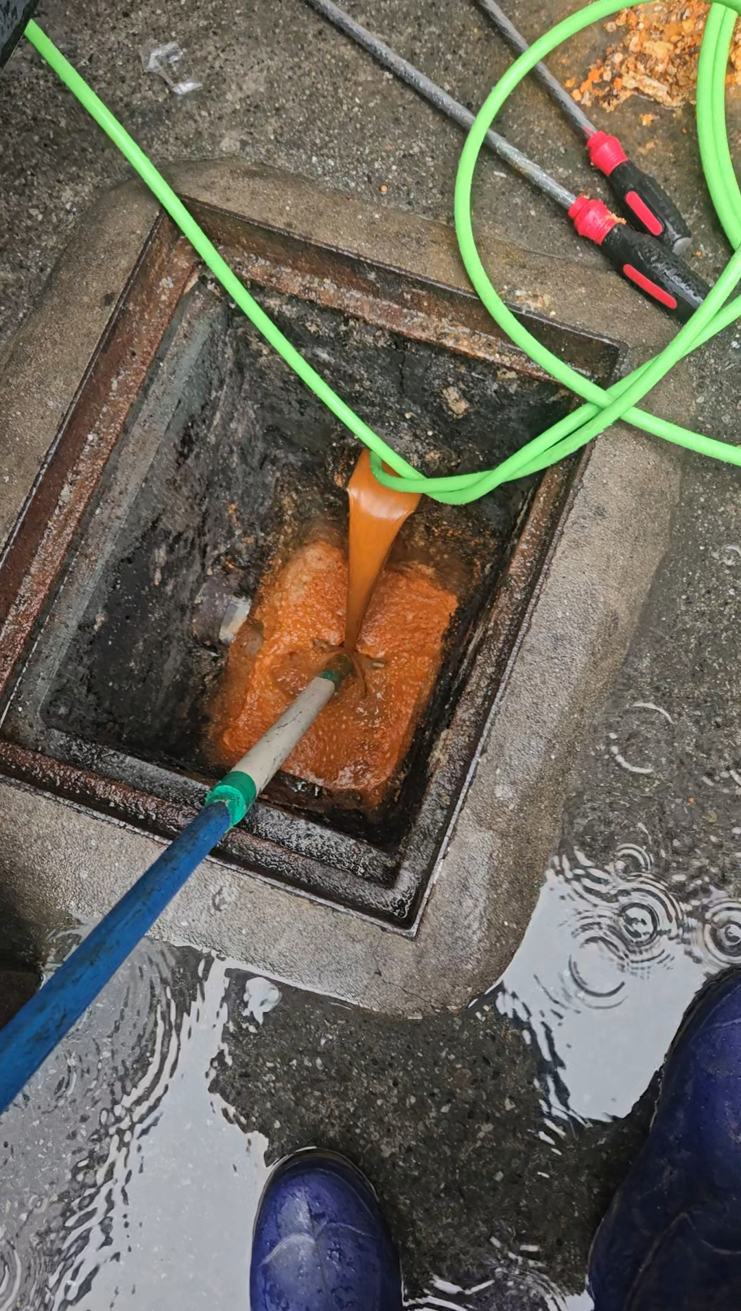 235149625_qt6oGQDS_eae8364b937fad3aa53e7332ee31d812d0683850.jpg 이미지크게보기